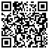 QR Code Handyversion