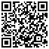 QR Code Handyversion