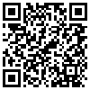 QR Code Handyversion