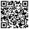 QR Code Handyversion