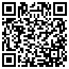 QR Code Handyversion