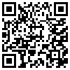 QR Code Handyversion