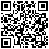 QR Code Handyversion