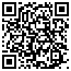 QR Code Handyversion