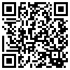 QR Code Handyversion