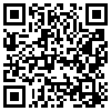 QR Code Handyversion