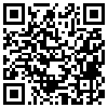 QR Code Handyversion