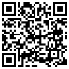 QR Code Handyversion