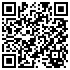 QR Code Handyversion