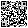 QR Code Handyversion