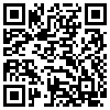 QR Code Handyversion