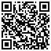 QR Code Handyversion