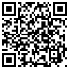 QR Code Handyversion