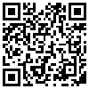 QR Code Handyversion