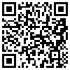 QR Code Handyversion