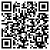 QR Code Handyversion