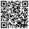 QR Code Handyversion