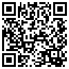 QR Code Handyversion