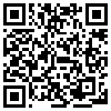 QR Code Handyversion