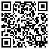 QR Code Handyversion