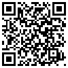 QR Code Handyversion