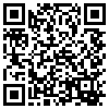 QR Code Handyversion