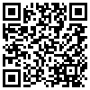 QR Code Handyversion