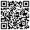 QR Code Handyversion