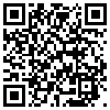 QR Code Handyversion