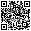 QR Code Handyversion