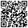 QR Code Handyversion