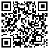 QR Code Handyversion