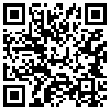 QR Code Handyversion