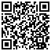 QR Code Handyversion