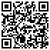 QR Code Handyversion