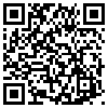 QR Code Handyversion