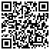 QR Code Handyversion