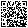 QR Code Handyversion