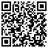 QR Code Handyversion