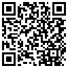 QR Code Handyversion