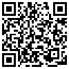 QR Code Handyversion