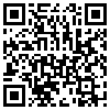 QR Code Handyversion