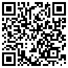 QR Code Handyversion