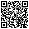 QR Code Handyversion