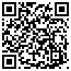 QR Code Handyversion