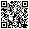 QR Code Handyversion