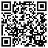 QR Code Handyversion