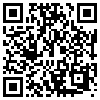 QR Code Handyversion