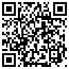 QR Code Handyversion