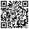 QR Code Handyversion